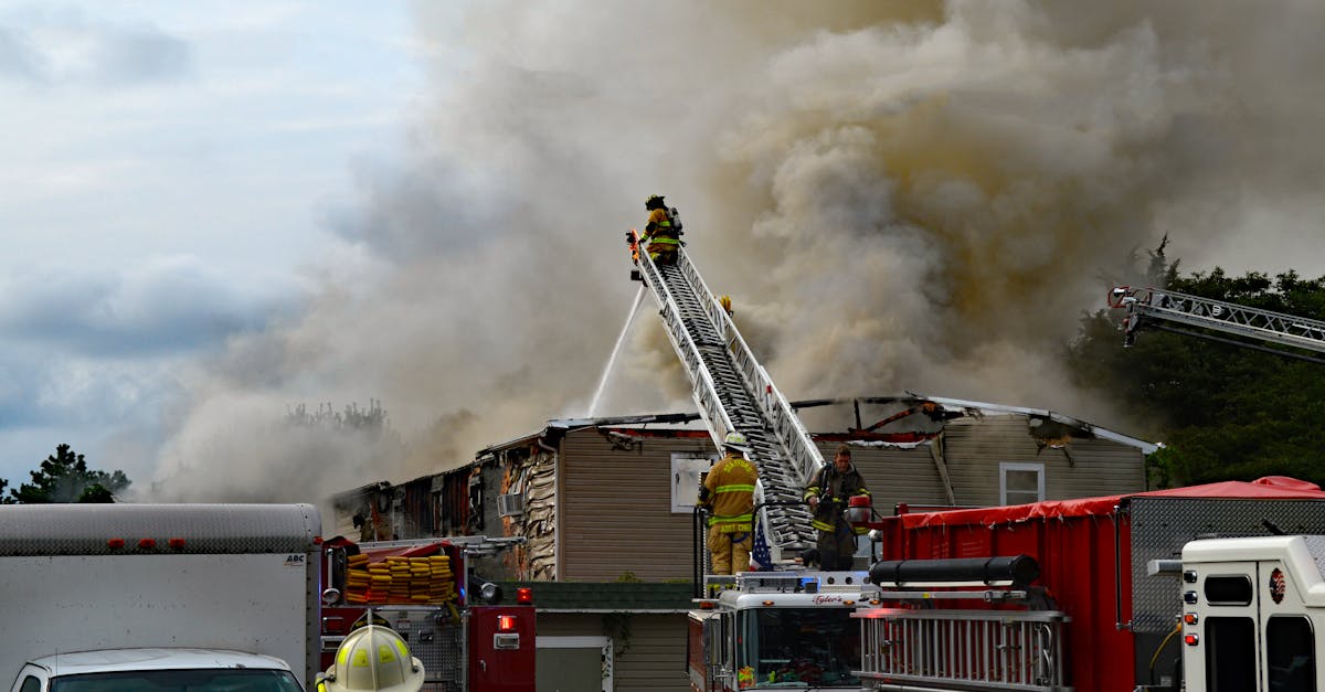 珍爱网实名账号：开代理记账平台