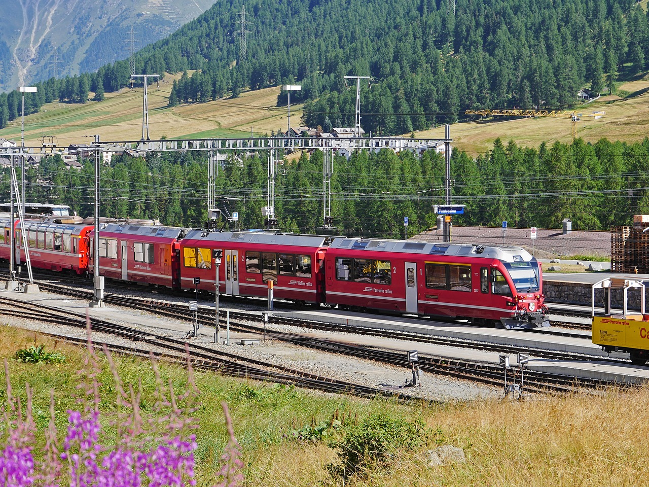 Vx批发小号：外汇哪个平台可以开户