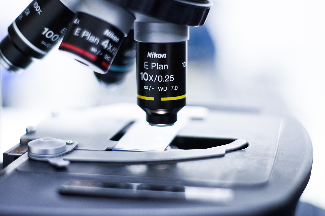 网页DDOS攻击平台|王app详情下载教程