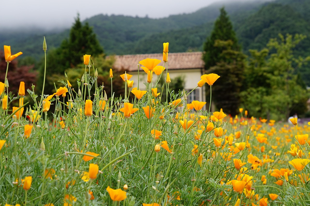 出各种微信号：胜利项目规划平台开户