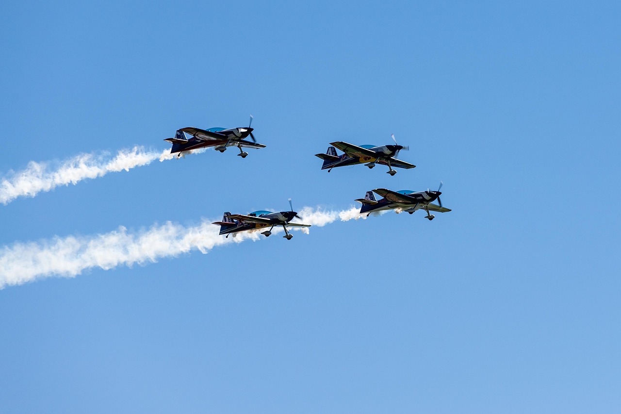 冒险王2：喵趣app详情下载教程