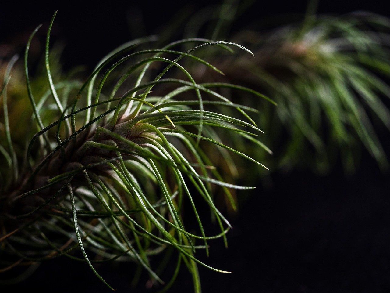 魔兽世界(国服):绝对赛车账号密码注册