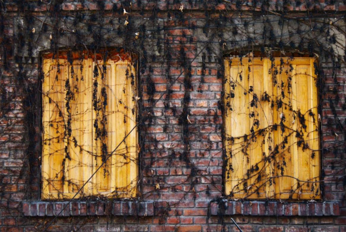 聚星海盗港湾怎么注册新账号